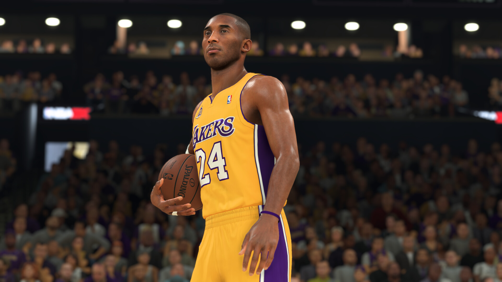 Dunk Animation Preview